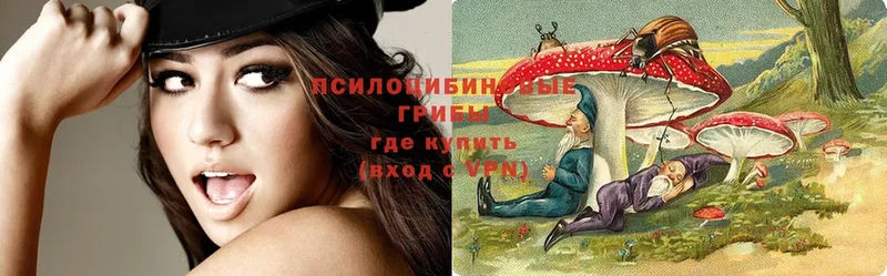 Галлюциногенные грибы Magic Shrooms  KRAKEN зеркало  Кедровый  даркнет сайт 